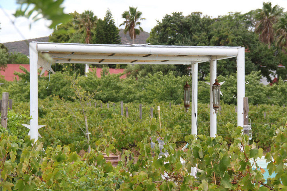 The Vineyard Country House Montagu Exterior photo
