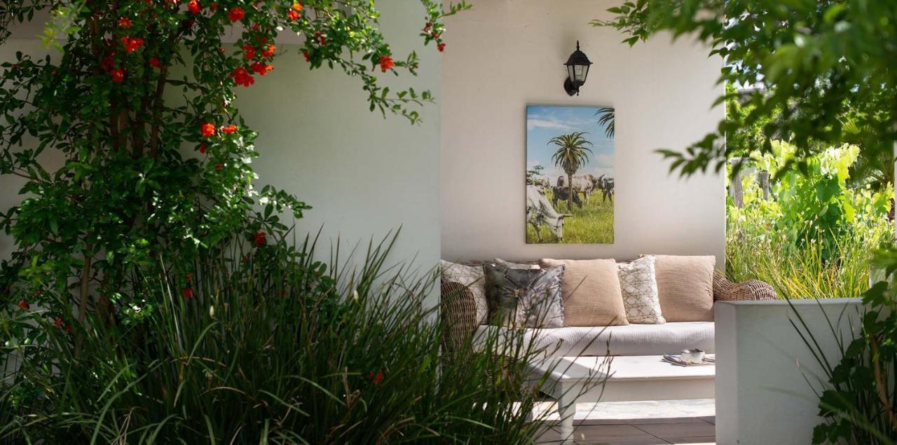 The Vineyard Country House Montagu Exterior photo