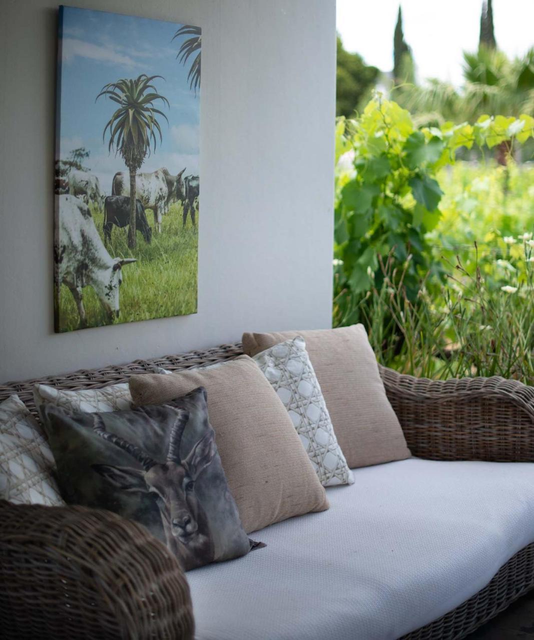 The Vineyard Country House Montagu Exterior photo