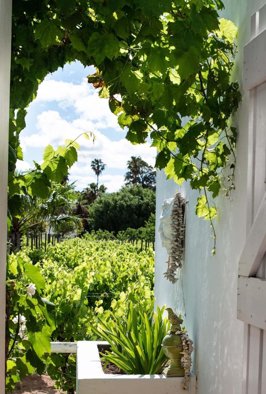 The Vineyard Country House Montagu Exterior photo