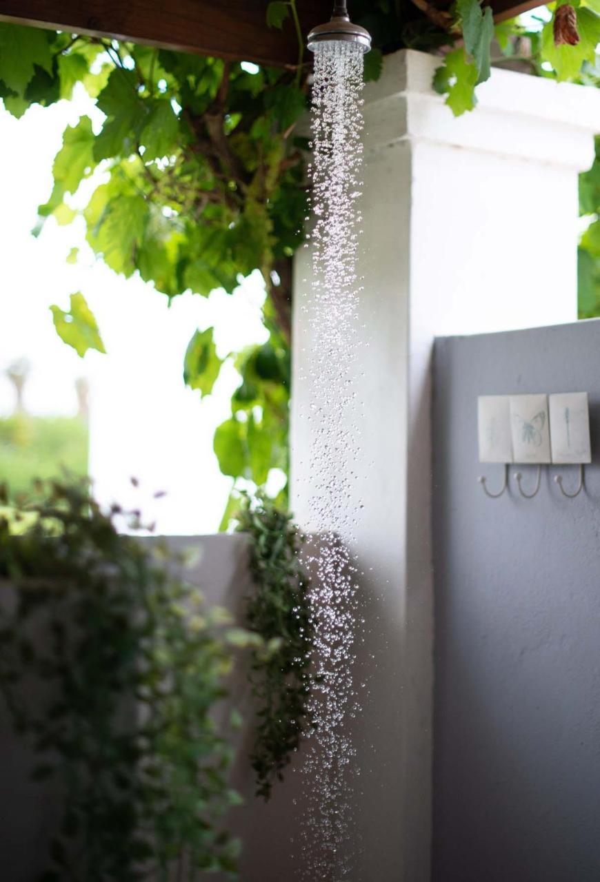 The Vineyard Country House Montagu Exterior photo
