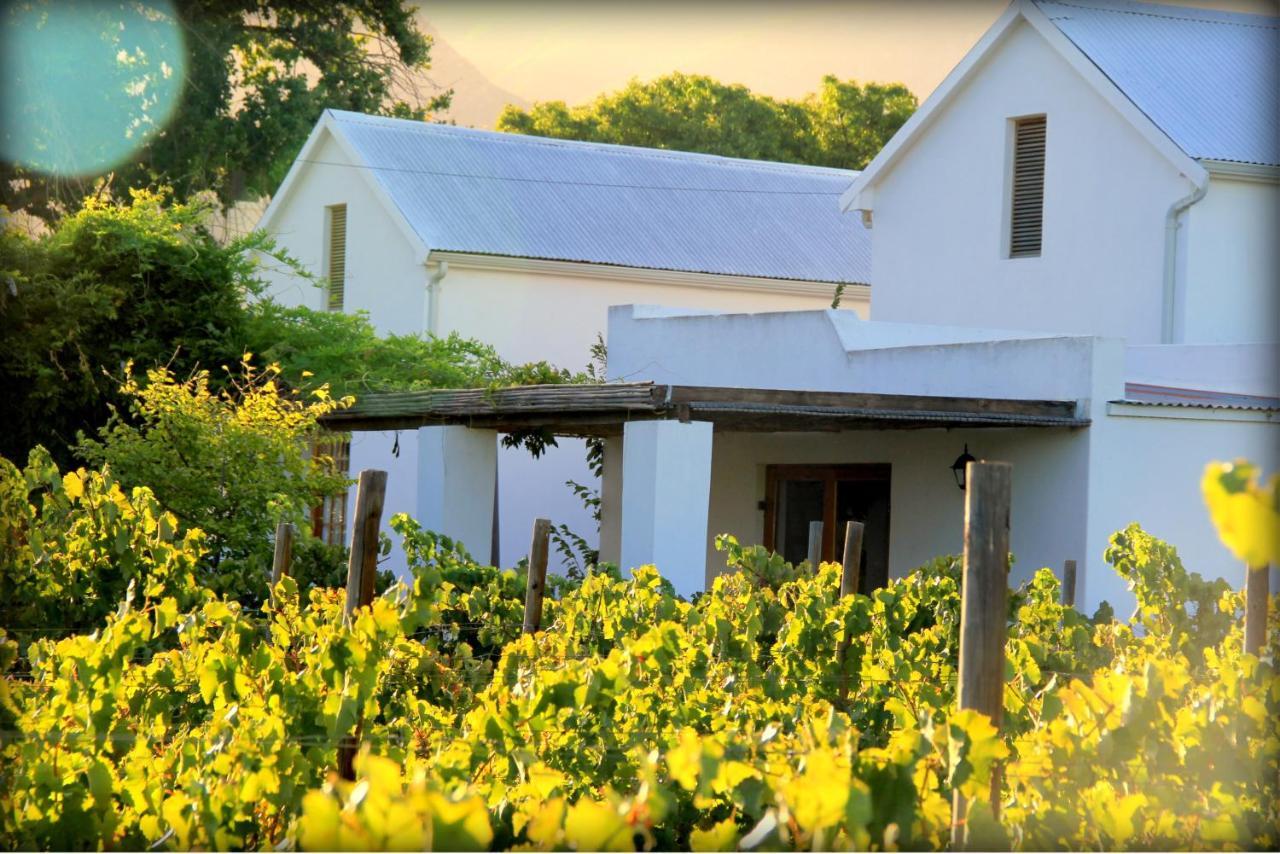 The Vineyard Country House Montagu Exterior photo