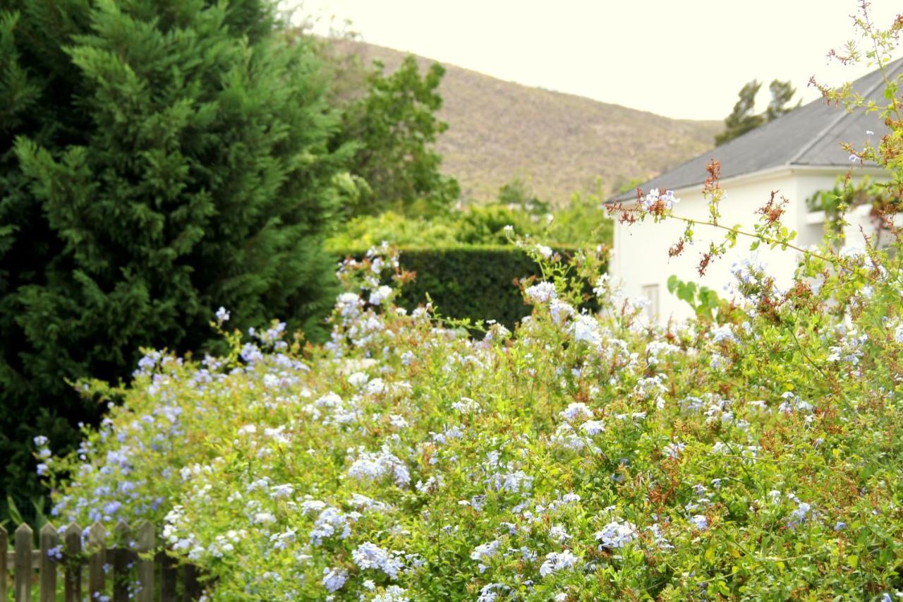 The Vineyard Country House Montagu Exterior photo