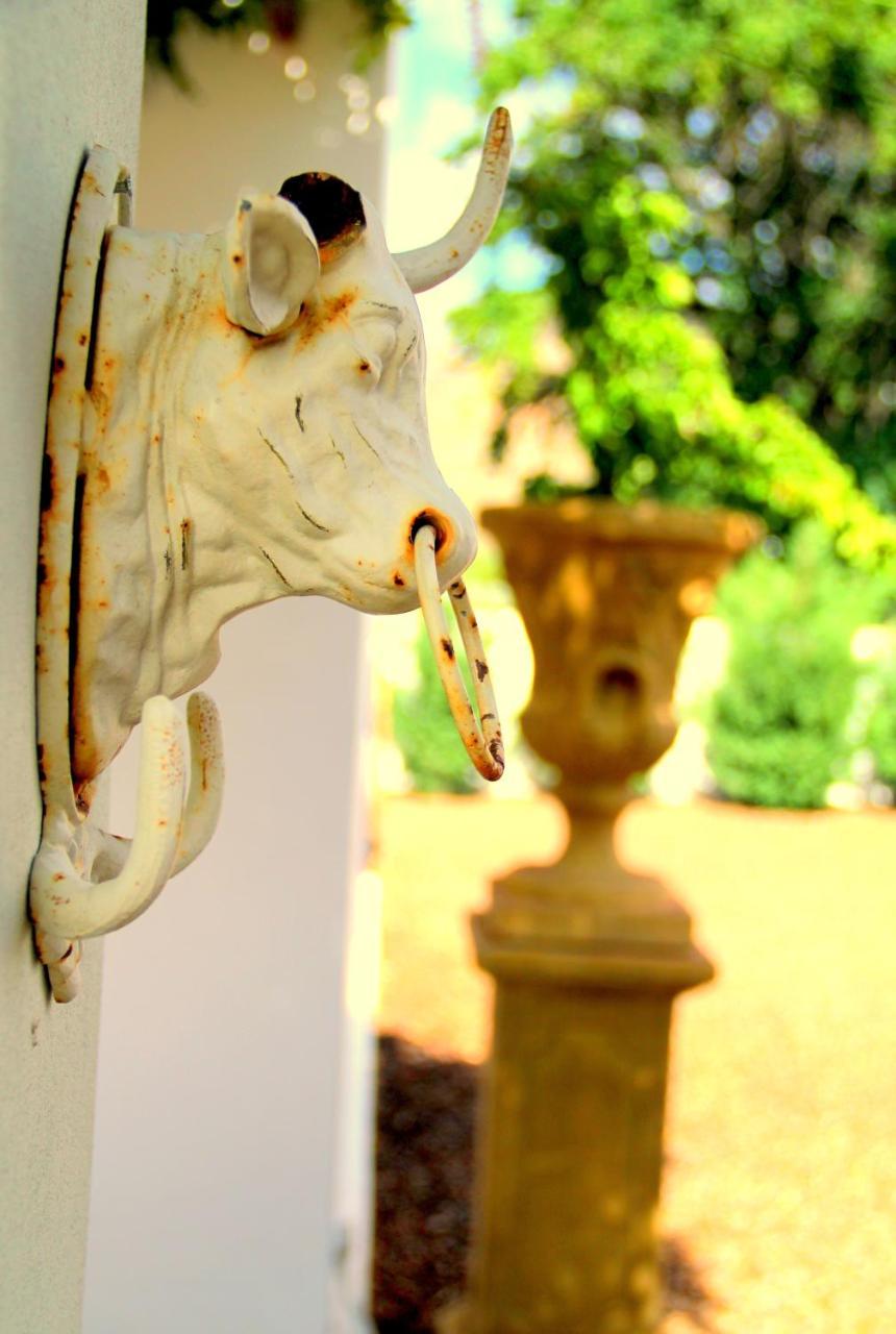 The Vineyard Country House Montagu Exterior photo