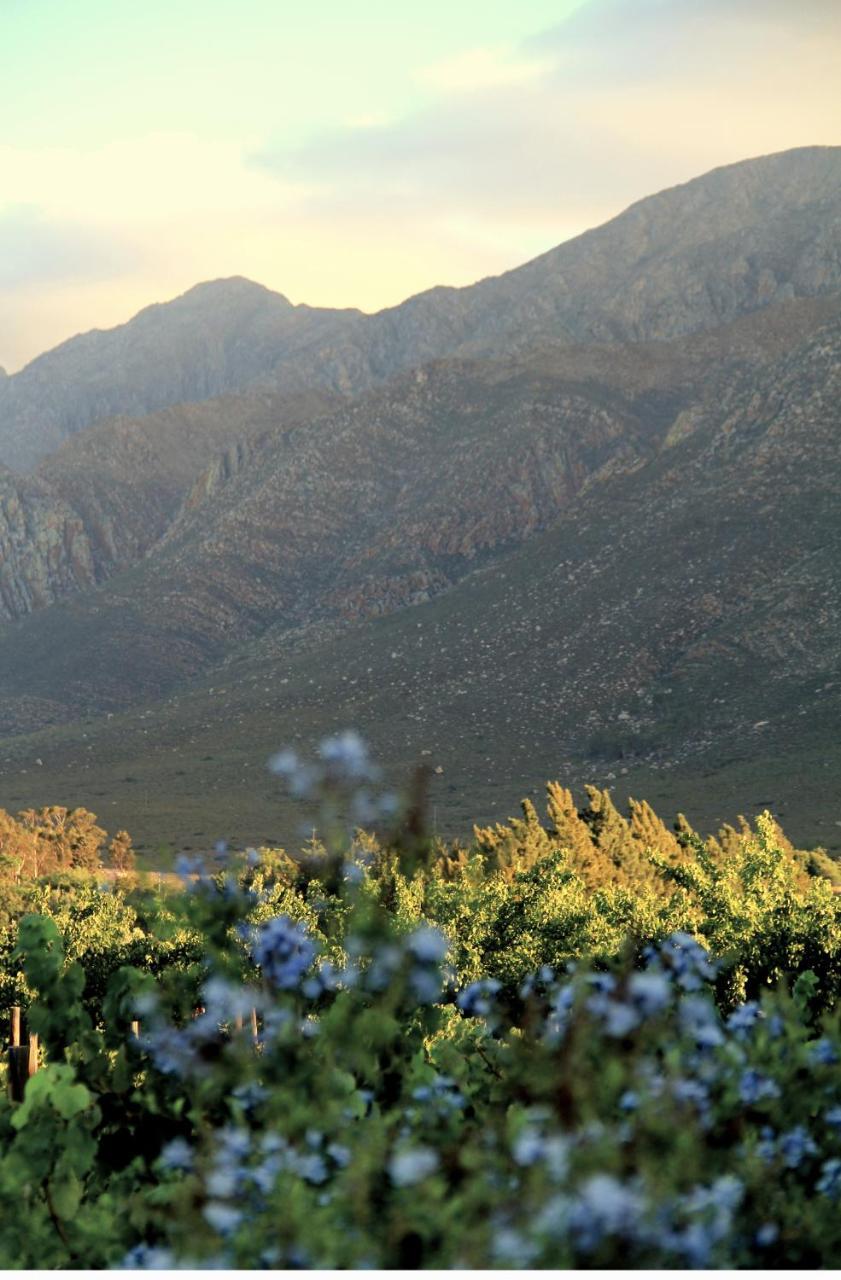 The Vineyard Country House Montagu Exterior photo